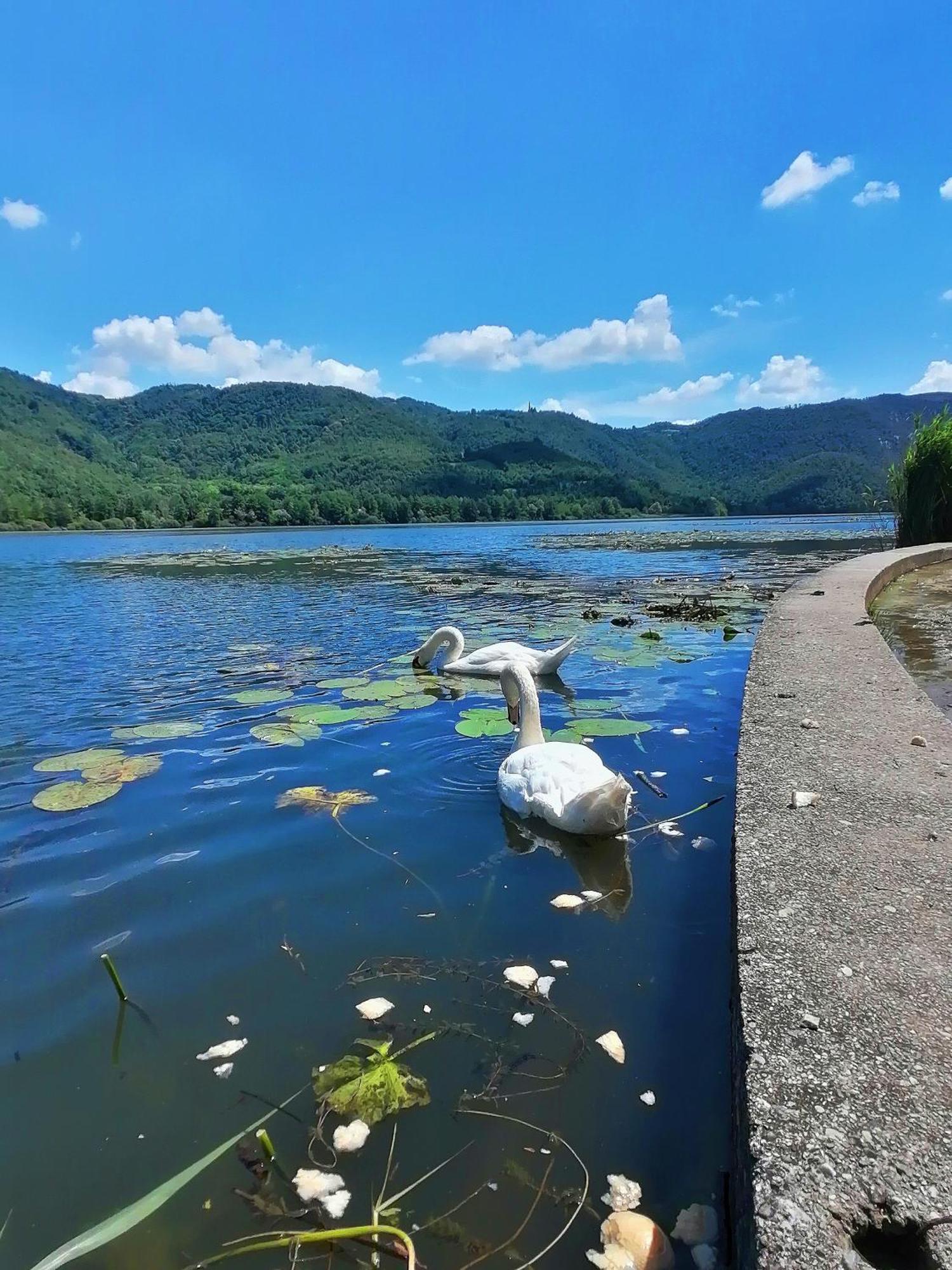 Ca' Dei Berici - Residence Ad Arcugnano Grancare Zimmer foto